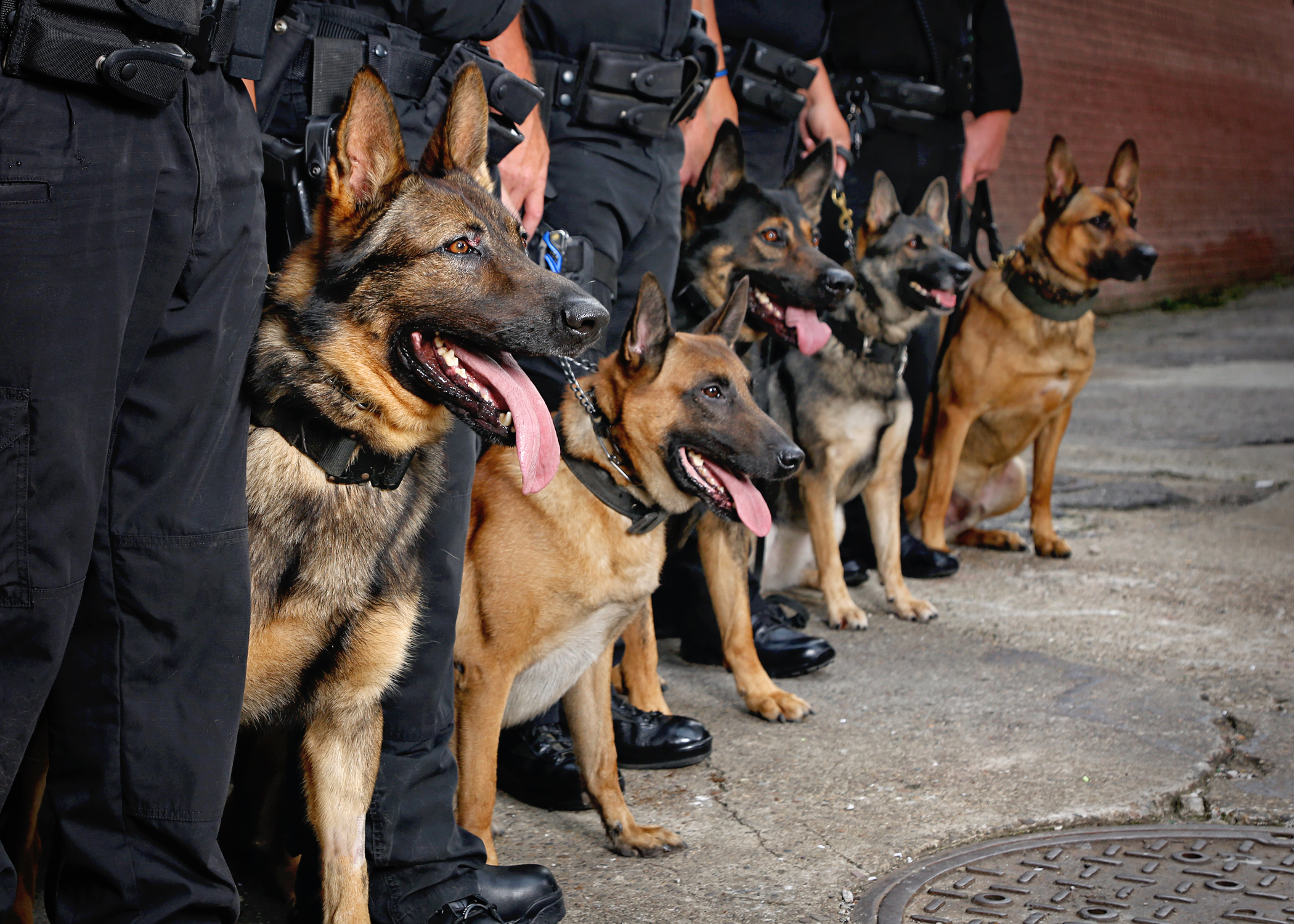 P10A7170 Kanawha County Sheriff's Office